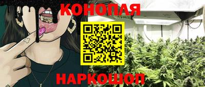 PSILOCYBIN Севастополь