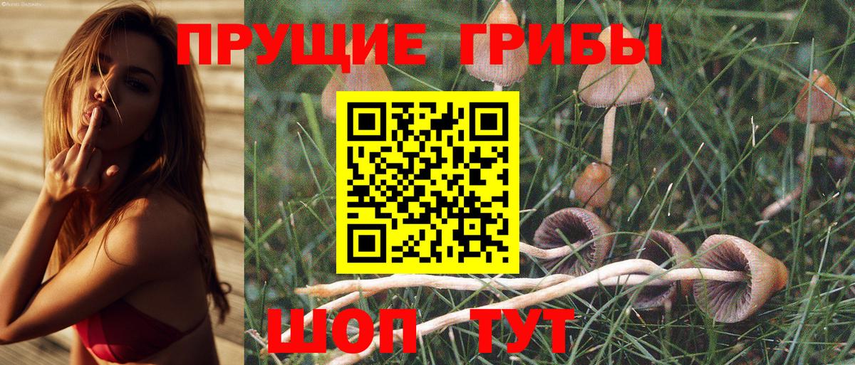 Урус-Мартан  Галлюциногенные грибы Psilocybine cubensis  Галлюциногенные грибы MAGIC MUSHROOMS  Вход с VPN 