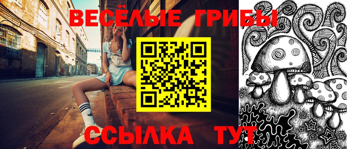 Галлюциногенные грибы Psilocybine cubensis Урус-Мартан